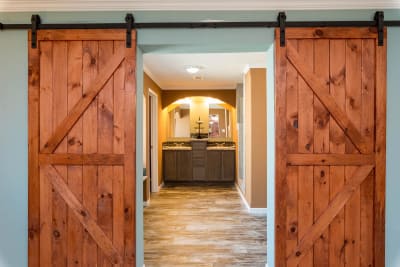 bathroom doors 1