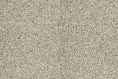 Shaw Floor Simply Stated Carpeting