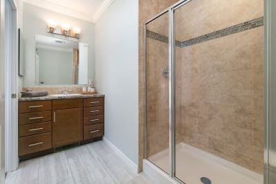 Master Bath 2