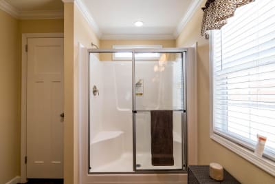 Master Bath Shower