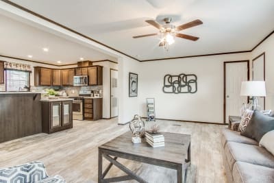 Living Room and Kitchen 2