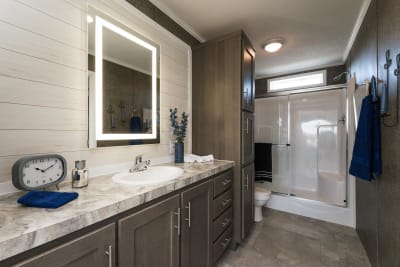 master bathroom 1