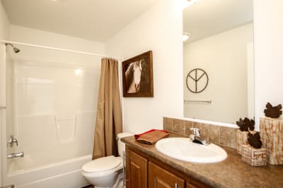 Enterprise FH64 bathroom