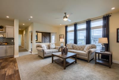 Living Room 1