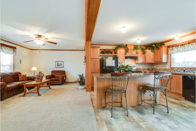 Living Room and Kitchen