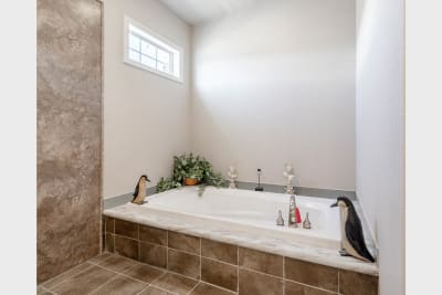 Master Bath 2