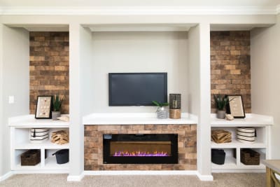 Living Room Built-In