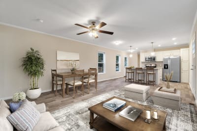 Living Room and Kitchen