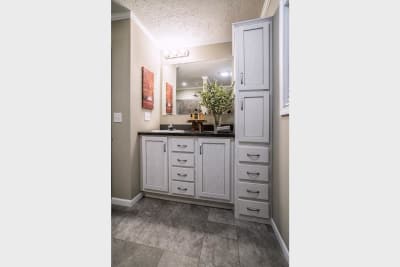 Master Bathroom Vanity