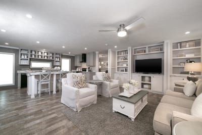 Living Room and Kitchen