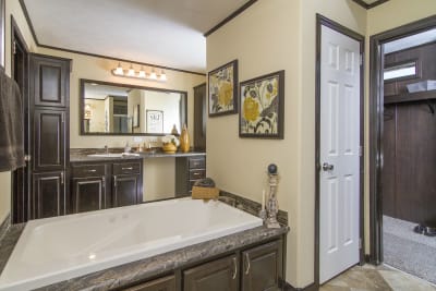 Master Bath Tub