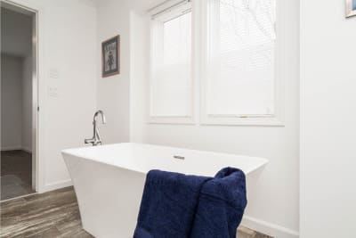 Master Bath Tub