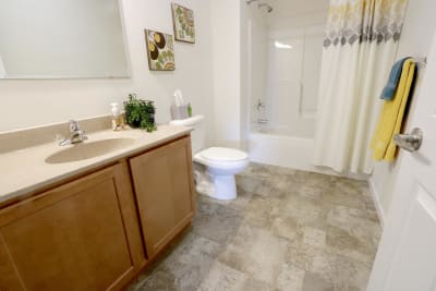 Excel Homes, The Charles, bathroom