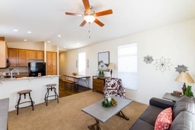 Living Room and Kitchen 1