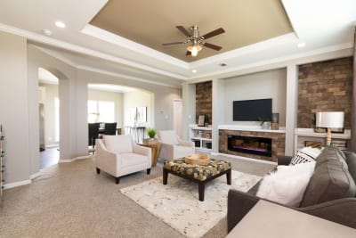 Living Room 1