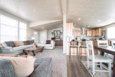 Living Room and Kitchen