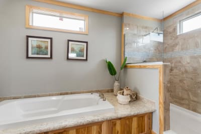Master Bath 3