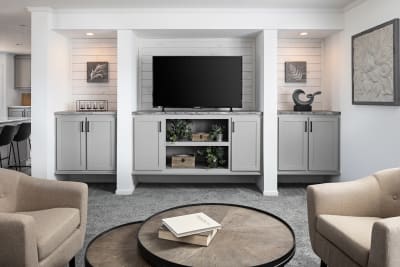 Highland Manufacturing - Odyssey 2864 - entertainment center