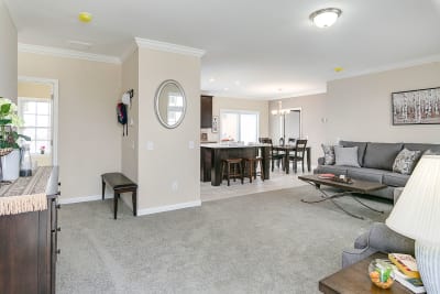 Living Room and Kitchen