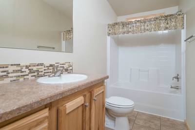 American Freedom 3263 bathroom