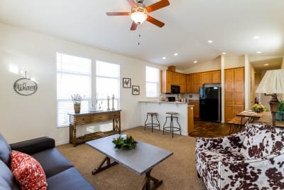 Living Room and Kitchen 2