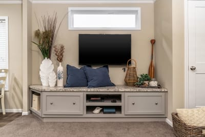 Entertainment Unit