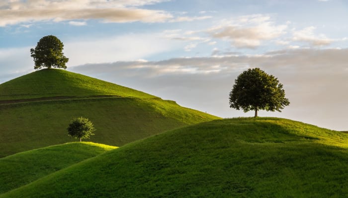Featured image