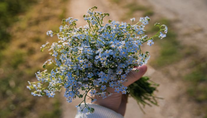 Featured image
