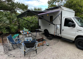 Ford E-350 box truck campsite awning dogs.jpg