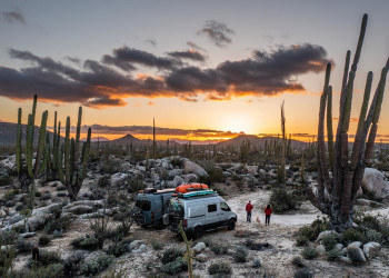 Baja California Mexico cactus @peterholcombe.jpg