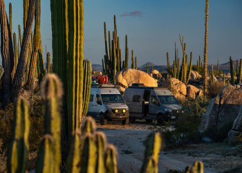 Baja California Mexico cactus forest @peterholcombe.jpg