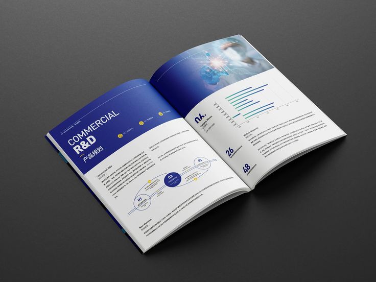 Commercial R&D brochure design with charts and data