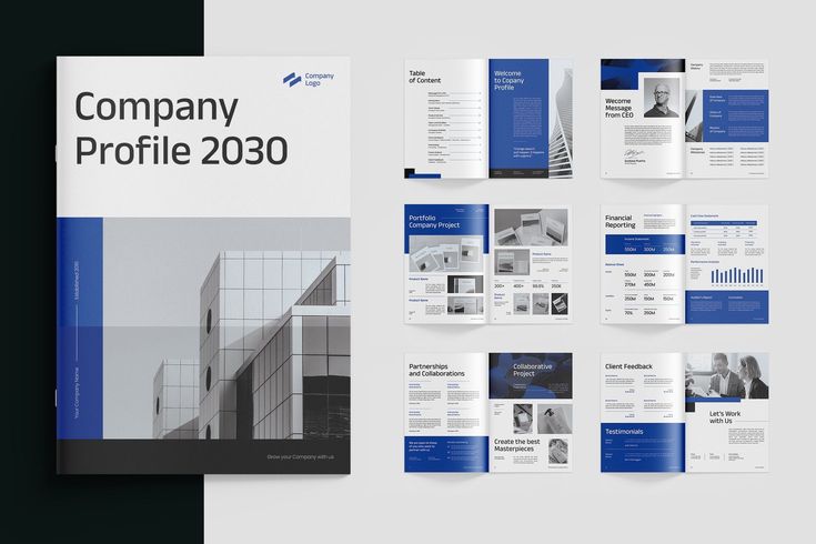 Modern blue and white technology company profile titled Company Profile 2030 with internal data layouts