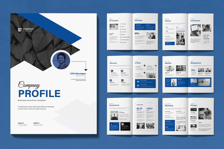 Professional navy blue and white company profile brochure featuring a CEO message and marketing data