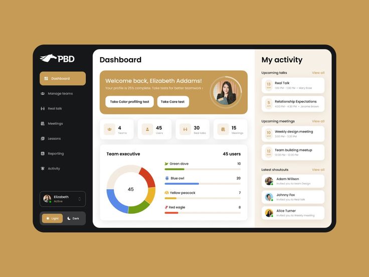Team management dashboard for PBD featuring "Elizabeth Addams" profile and team category charts