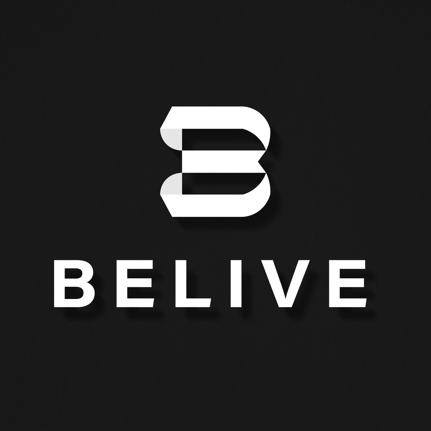 Minimal typography logo design for modern brand Belive