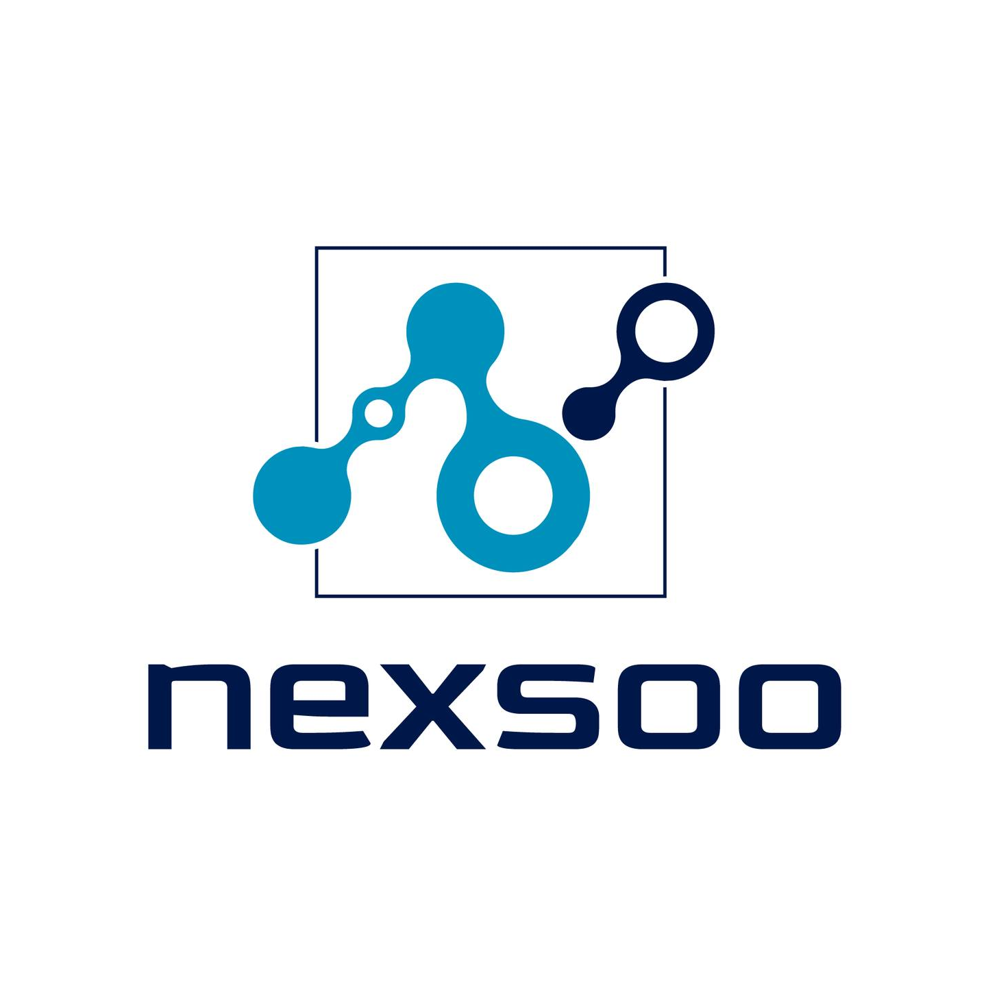 Nexsoo technology logo with molecular icon representing digital innovation