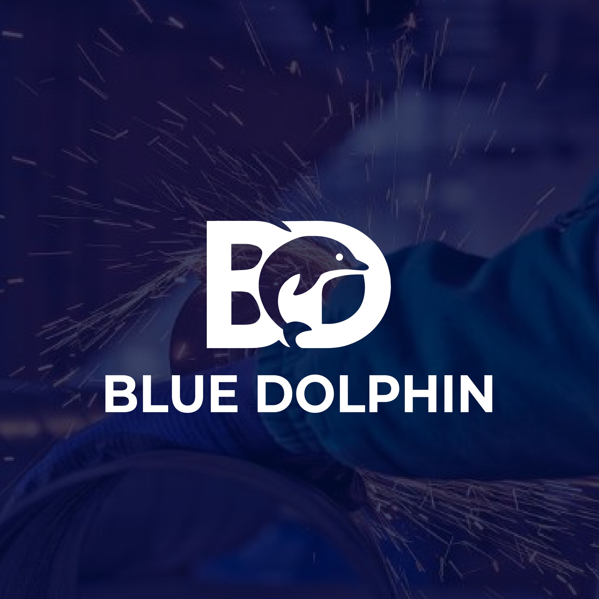 Blue Dolphin industrial logo with dolphin icon symbolizing strength and precision
