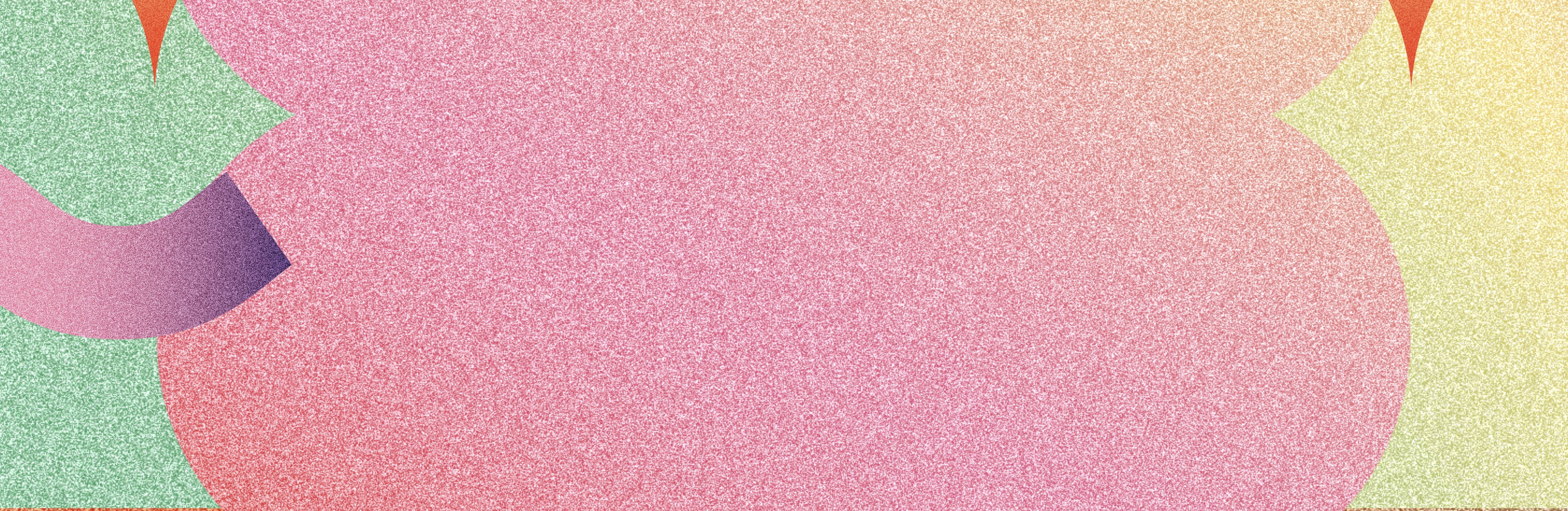 1er Evento Van Life 2026