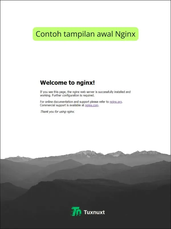 Tampilan awal Nginx di Ubuntu 24