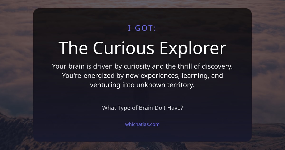 The Curious Explorer - What Type of Brain Do I Have? | Which Atlas