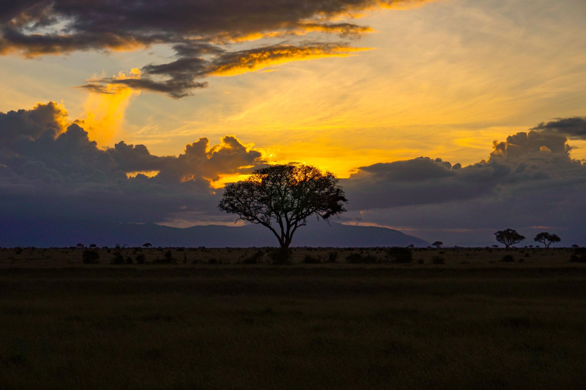 amboseli-national-park