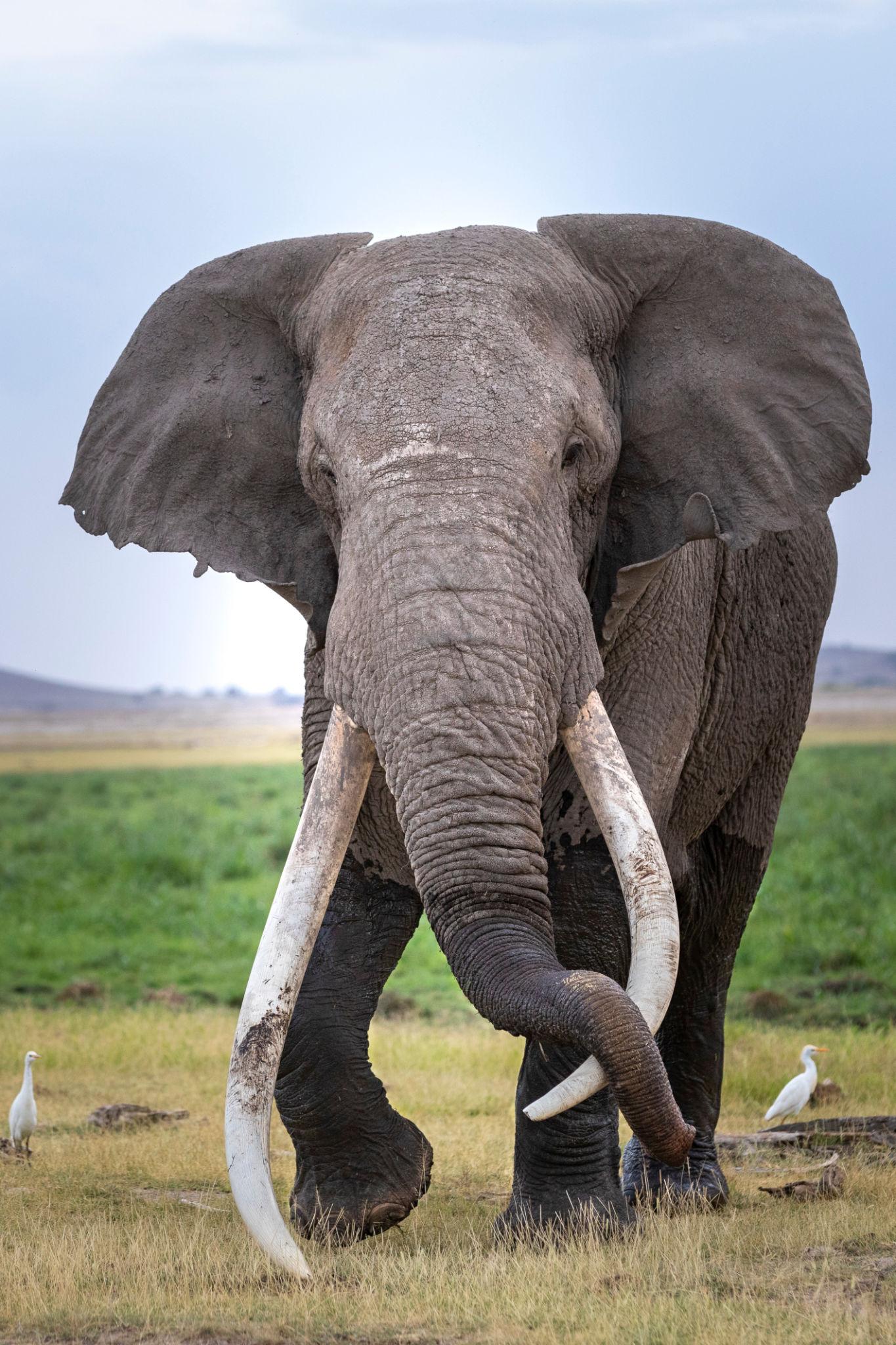 amboseli-national-park