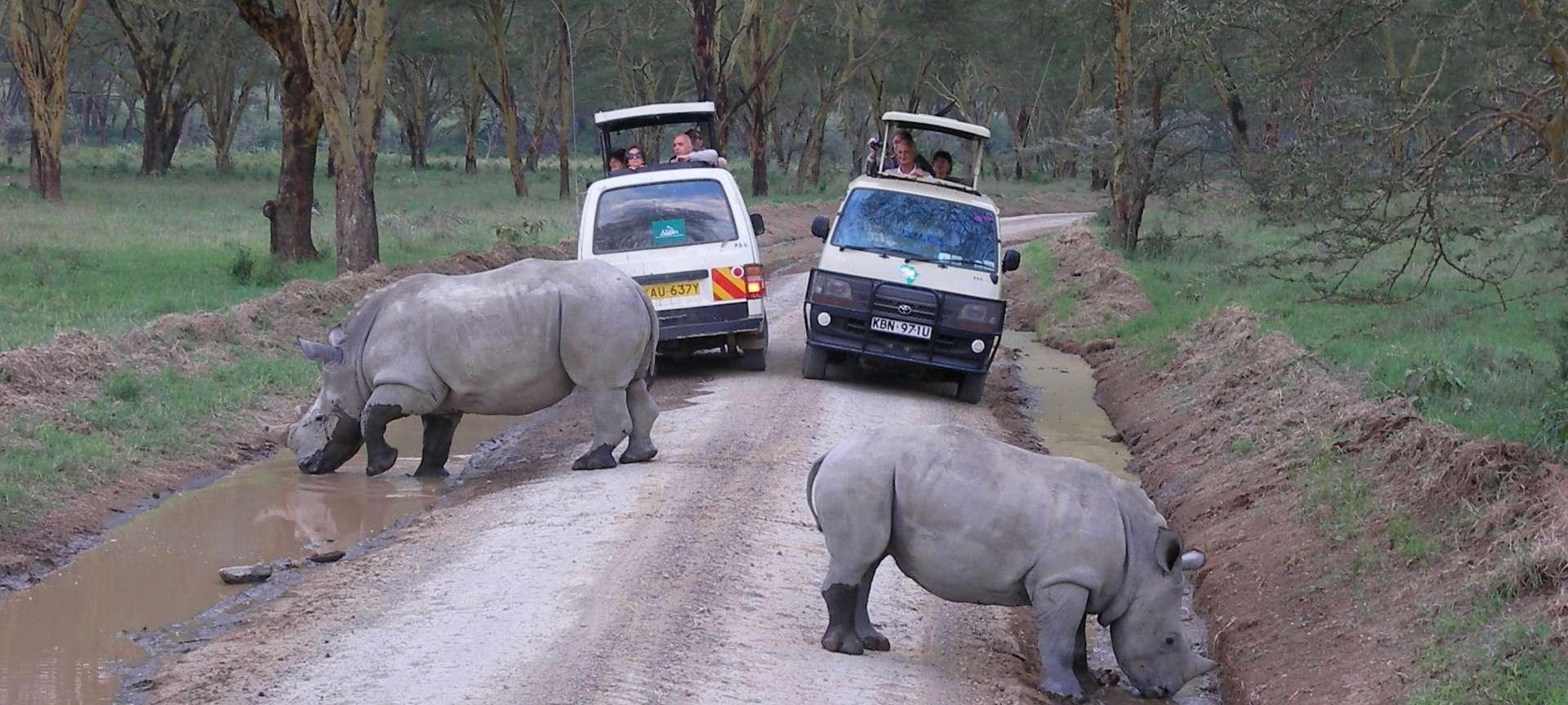 lake-nakuru-national-park-kenya