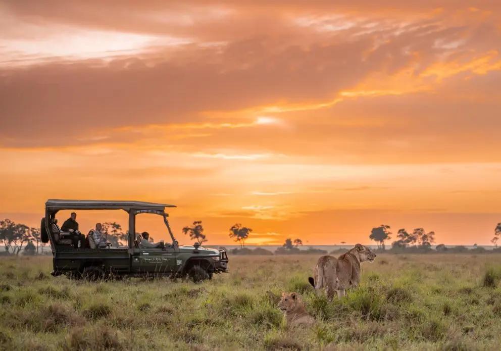 6 Days Kenya Safari – Maasai Mara, Lake Nakuru & Amboseli (Best of Kenya 2026)