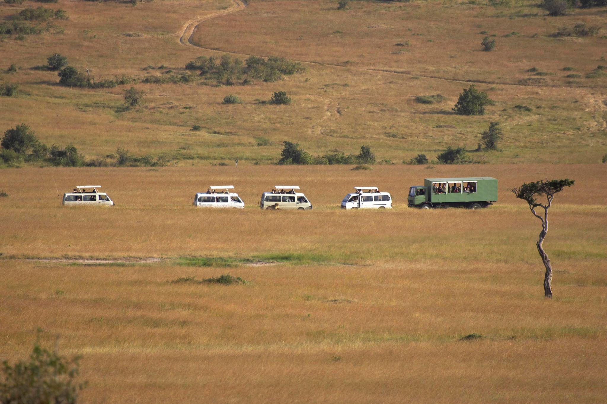1 Day Lake Nakuru Safari & Airport Transfer – Budget Van Tour Kenya 2026