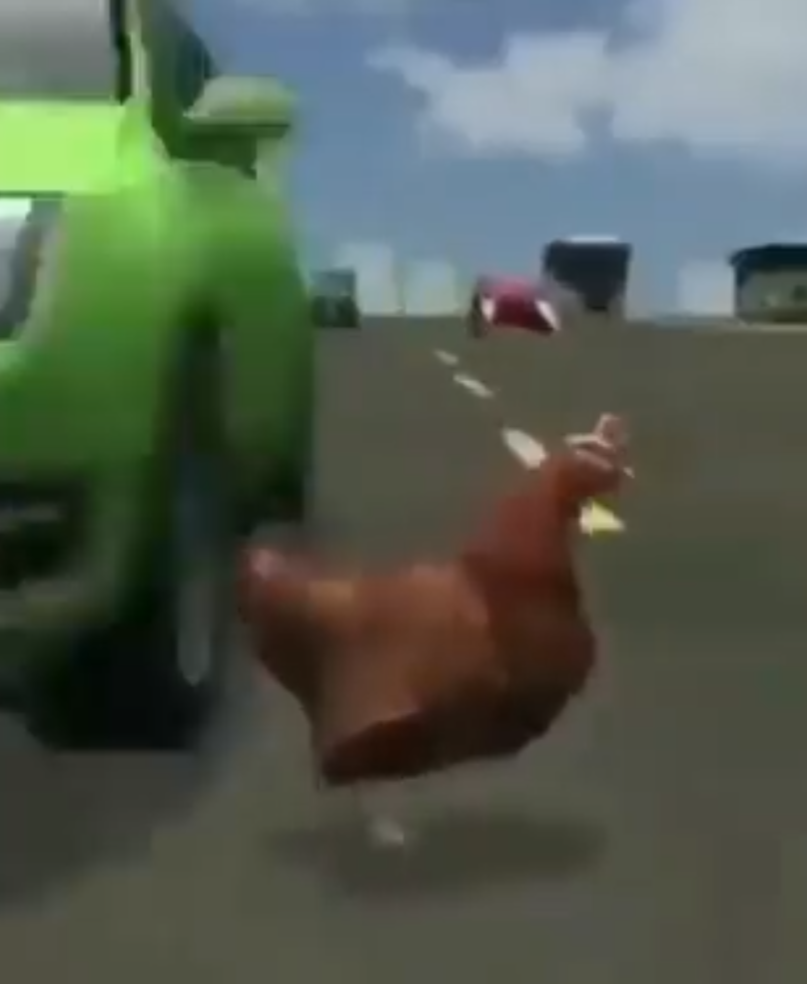 13_bvguwe.png