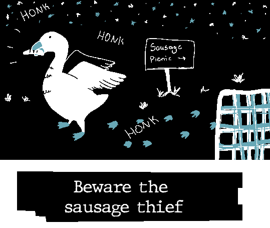 Poochy_uyzqoi.png