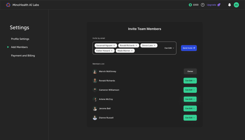 Team Collaboration Interface