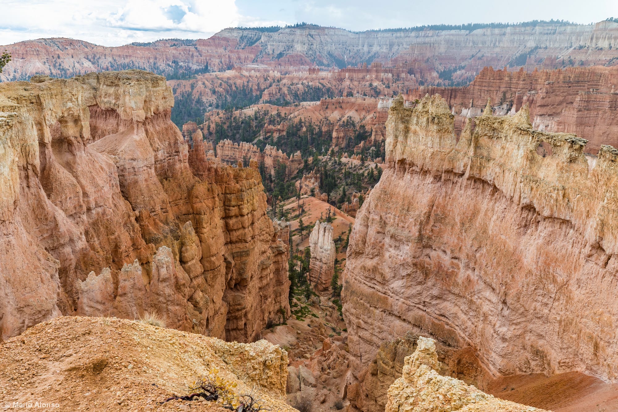 Bryce Canyon Overlook